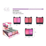 PACK 24 BLUSH 3D FASHION BLUSHER - EASY PARIS - idc institute en gros