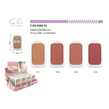 PACK 24 BLUSH COLOR SCULPTING - EASY PARIS
