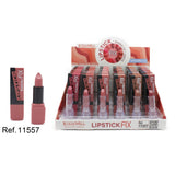 PACK DE 24 LIPSTICK FIX WATERPROOF (0.75€ / UN.) - LETICIA WELL